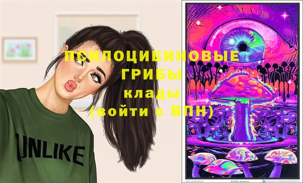 apvp Заволжск
