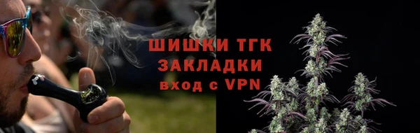 mdpv Заводоуковск