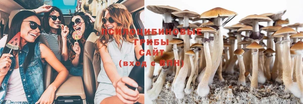 apvp Заволжск