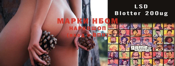 spice Зерноград