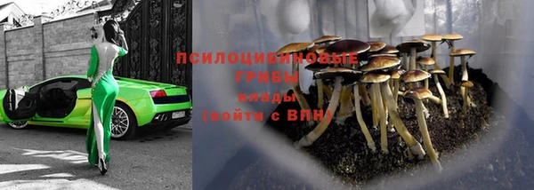 mdpv Заводоуковск