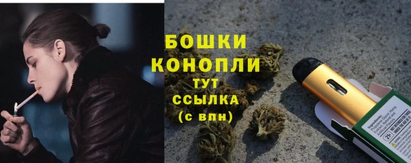 mdpv Заводоуковск