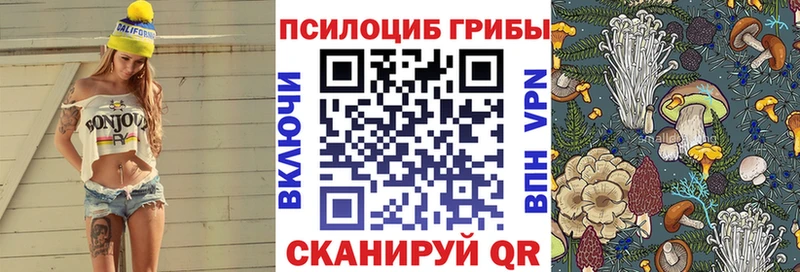 Псилоцибиновые грибы прущие грибы  Купить  Котельники 